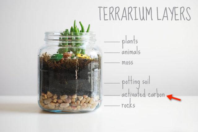 active carbon terrarium 20g succulent gardening indoor moss aquacult 1603 10 aquacult@5