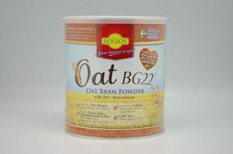 BIOGROW BG22 OAT POWDER 2X480g 