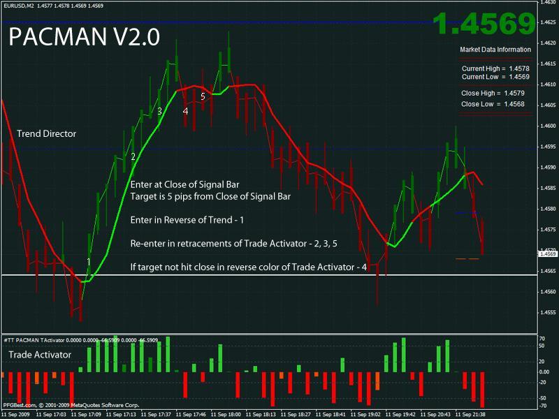 Forex trader kelantan