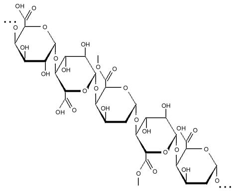 Thesis on pectinase