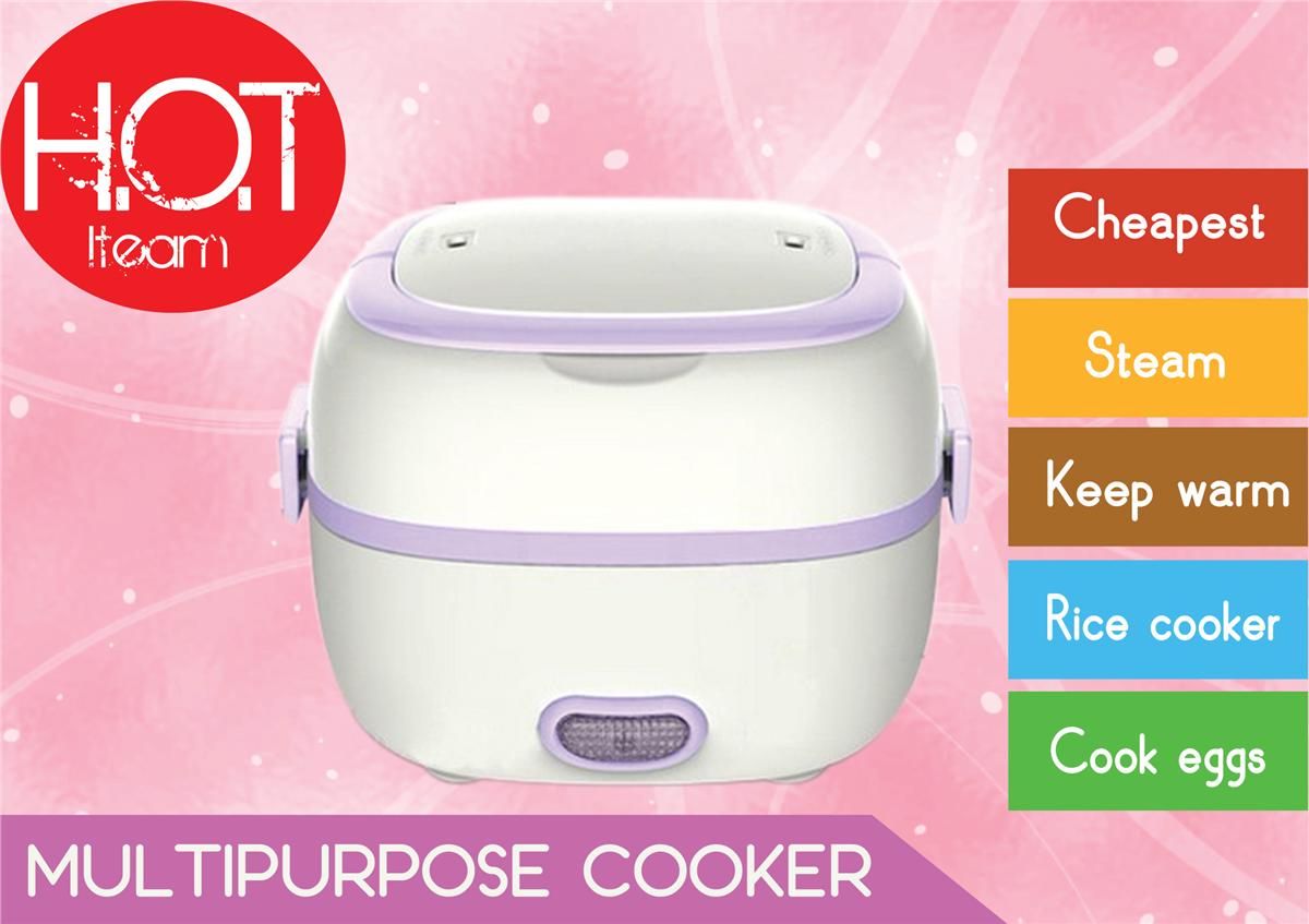 Multifunctional Mini Electric Cooker/Steamer/Rice Cooker