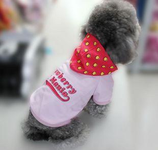 Pet clothing - Campaign sweater (A JK2314) Pet clothing - Campaign sweater (A JK2314)