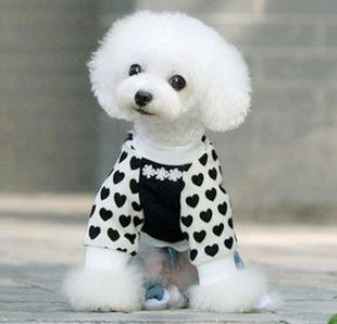 Pet clothing - Heart T-shirt (A8441*) Pet clothing - Heart T-shirt (A8441*)
