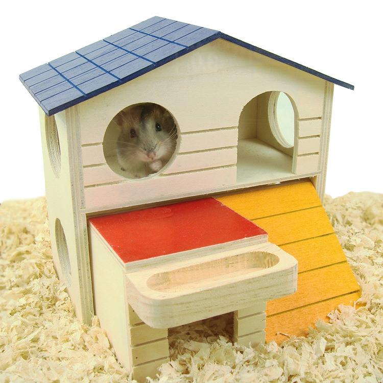 essay about my pet hamster Most pets require attention and maintenance during the day, so make sure you'll be home enough to take care of your pet if you have kids, consider what pets will be kid-friendly hamsters and fish, for example, make great early pets. essay about my pet hamster Most pets require attention and maintenance during the day, so make sure you'll be home enough to take care of your pet if you have kids, consider what pets will be kid-friendly hamsters and fish, for example, make great early pets.