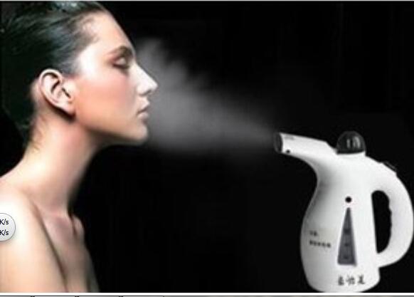Portable Clothes Garment Steamers Facial Steamer Steam 2in1