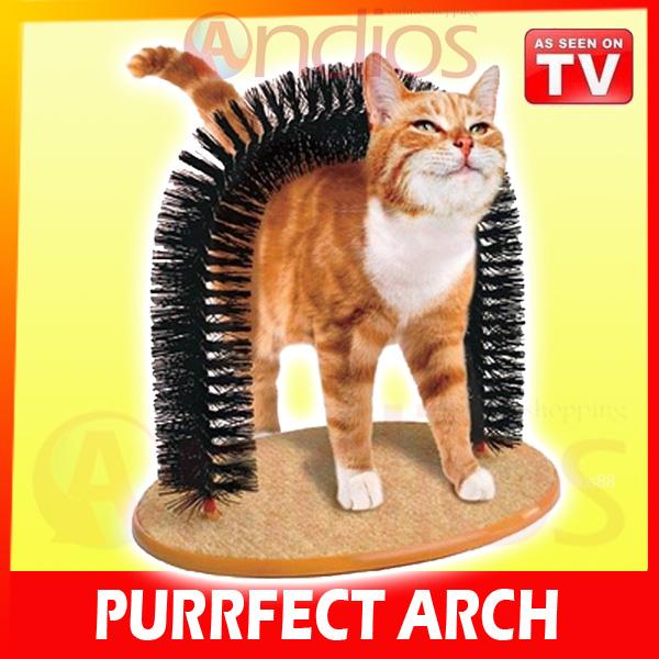 purrfect-arch-perfect-cats-cat-kittens-kitty-tv-andios-1503-25-andios@2.jpg