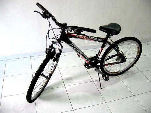 Rockbike