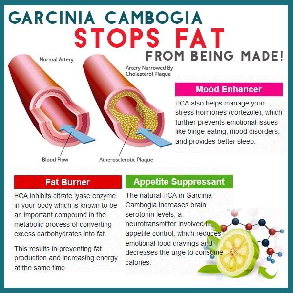 garcinia cambogia 60 hca nz garcinia cambogia 60 hca nz