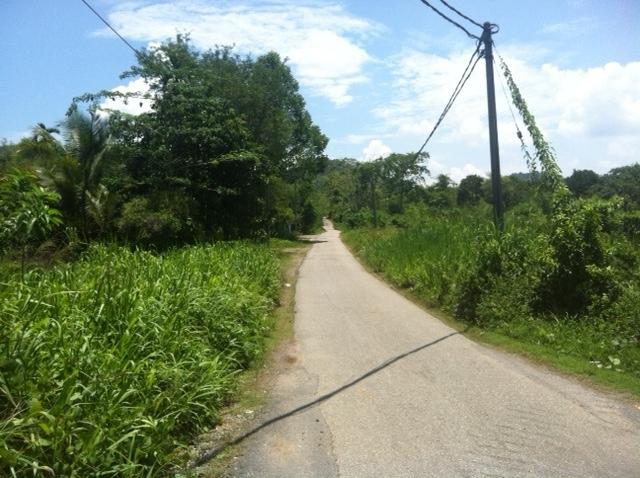 Tanah+Lelong+Kedah Tanah Batu 5 Jalan Kodiang Kedah Dekat Jalan Untuk Dijual (Kedah, end ...