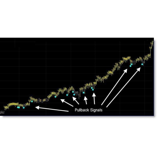 Trend reversal trading system