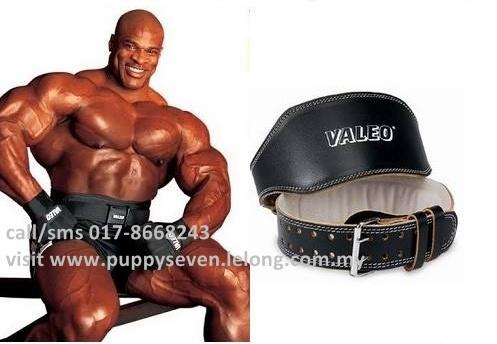 Valeo Sports Leather Gym Belt (USA) (Tali Pinggang Fitness Sport) Valeo Sports Leather Gym Belt (USA) (Tali Pinggang Fitness Sport)