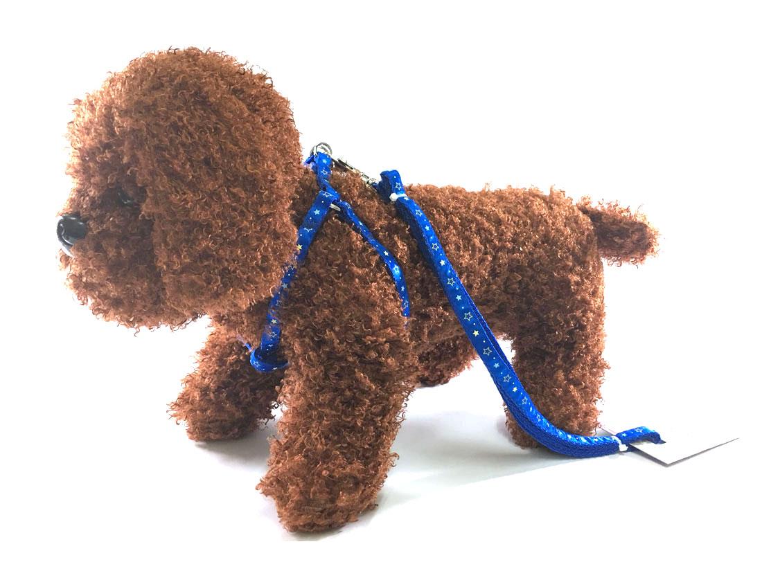 Harness and Leash Set 1cm for Cats & Small Dogs