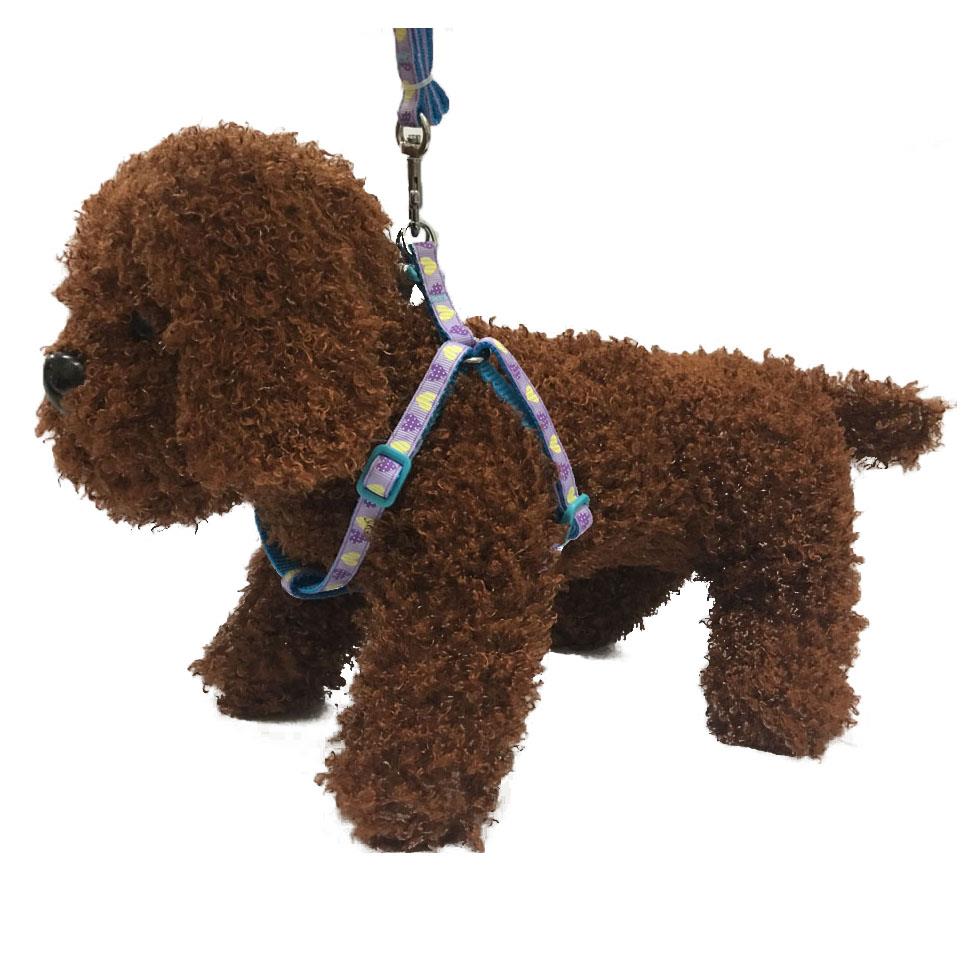 Harness and Leash Set 1cm for Cats & Small Dogs Violet