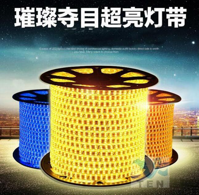 RGB 5050 IP65 Waterproof LED Strip Flexible LED Light AC110V-220V